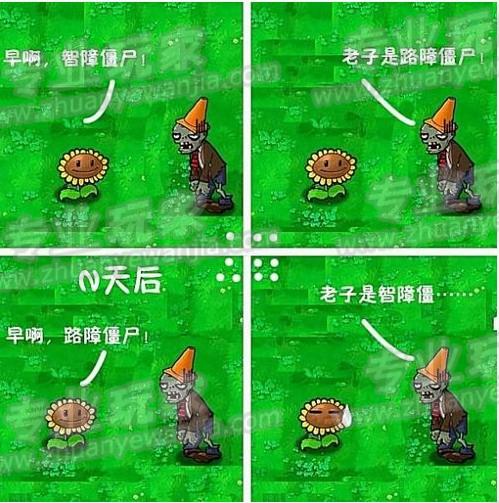 01.jpg