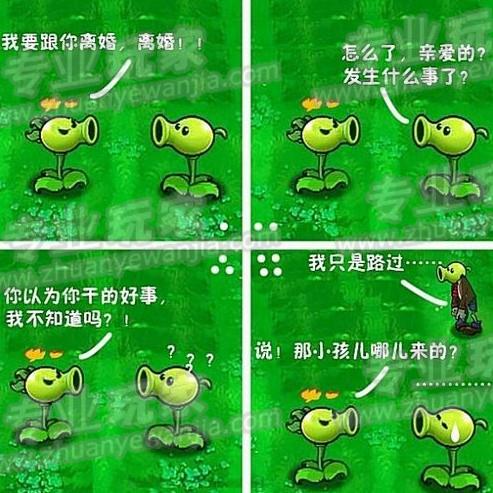 03.jpg
