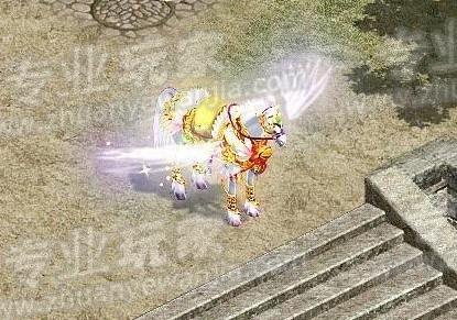01.jpg