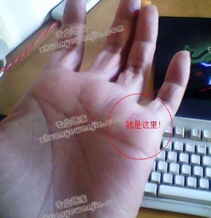 2.jpg