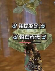 04.jpg